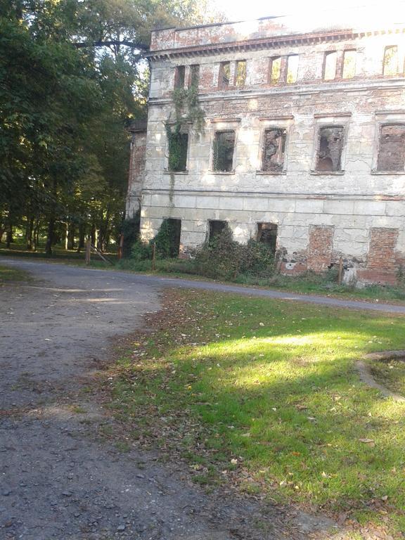 Gosciniec Sloneczny Hotel Drzonkow Bagian luar foto