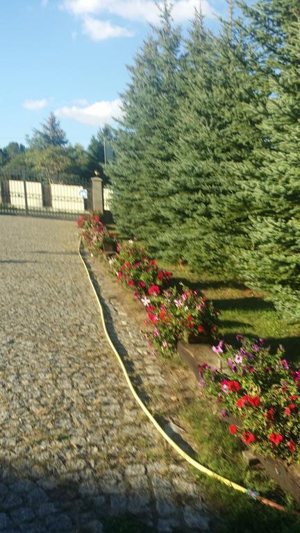 Gosciniec Sloneczny Hotel Drzonkow Bagian luar foto